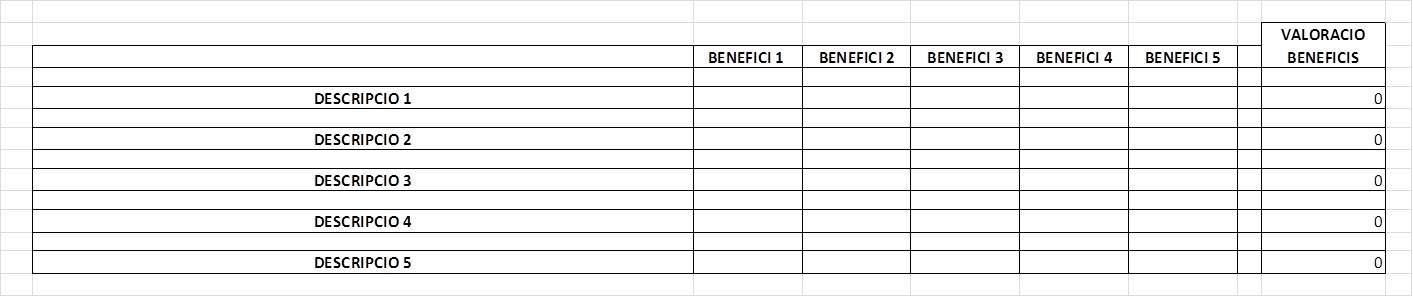 VALORACIO-BENEFICIS